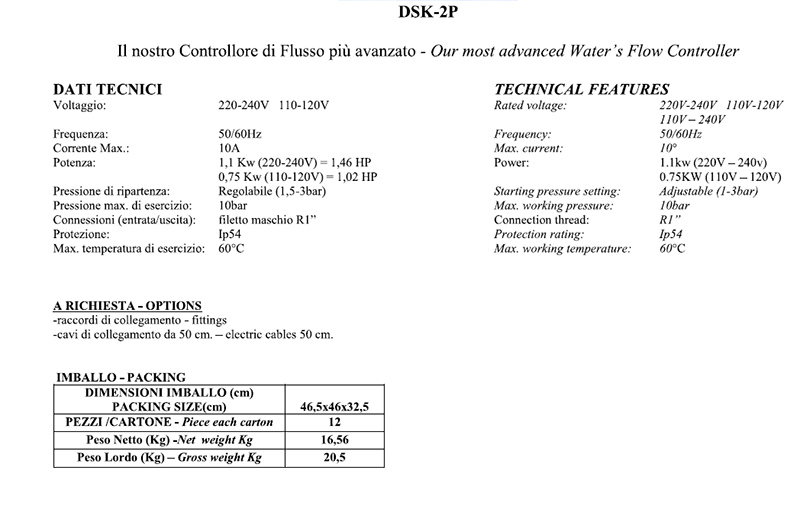 DSK-2P-a